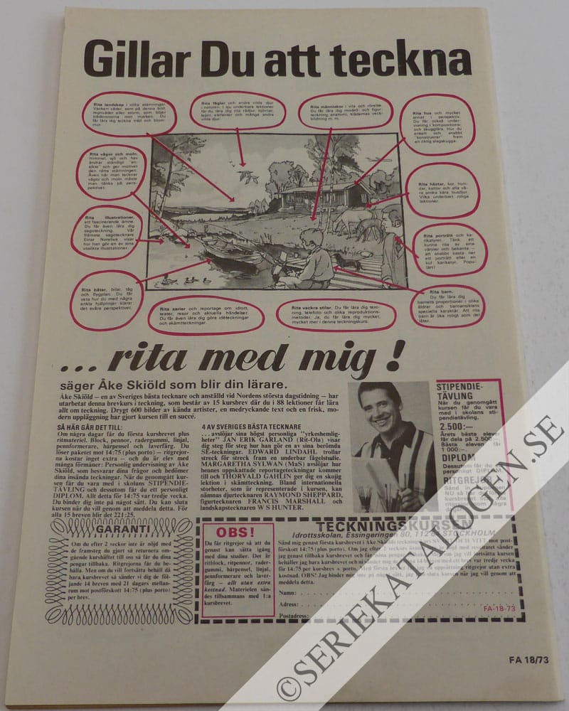 Baksida (1973)
