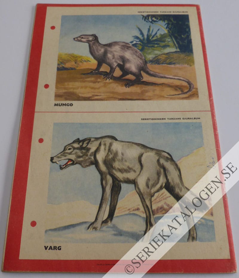 Baksida (1952)
