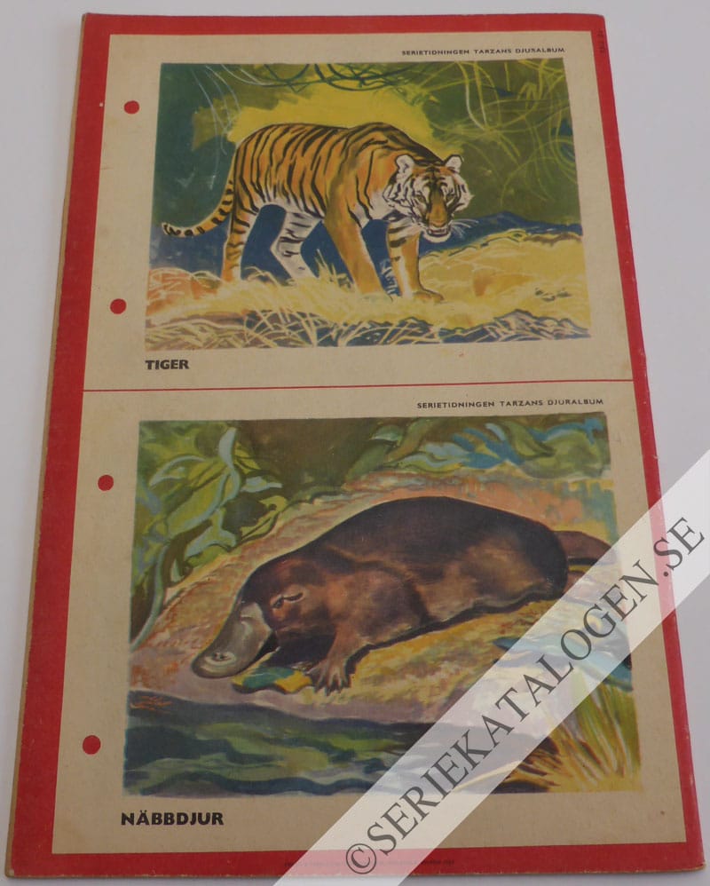 Baksida (1952)