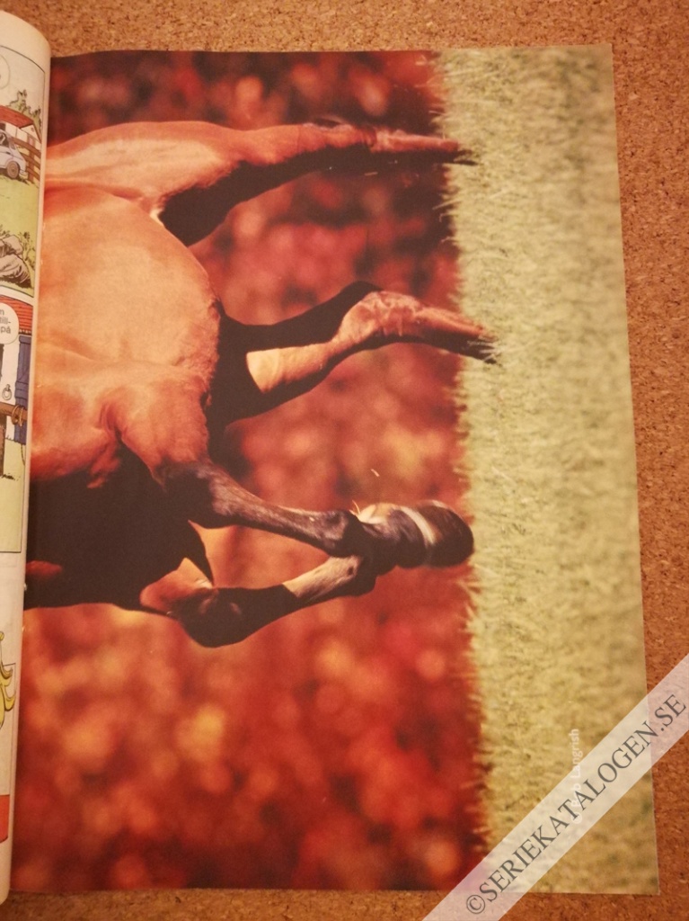 Bild (2004)