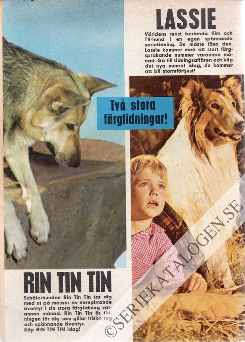 Baksida (1963)
