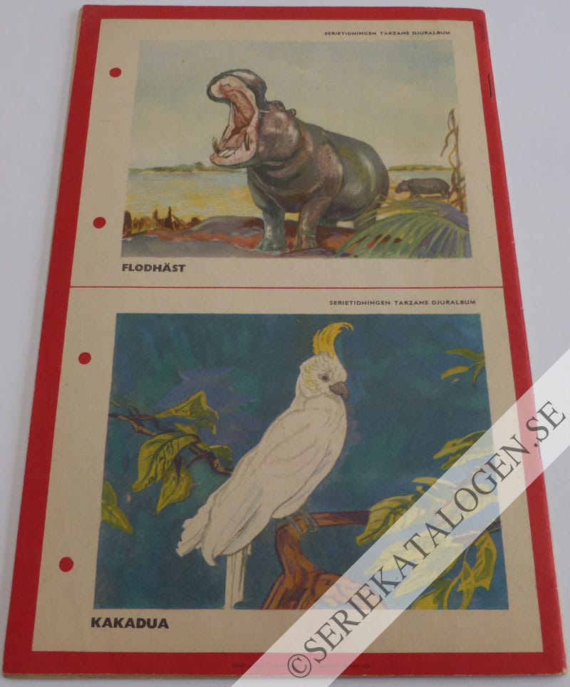 Baksida (1952)