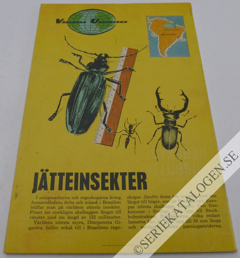 Baksida (1959)