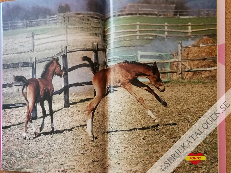 Bild (1996)