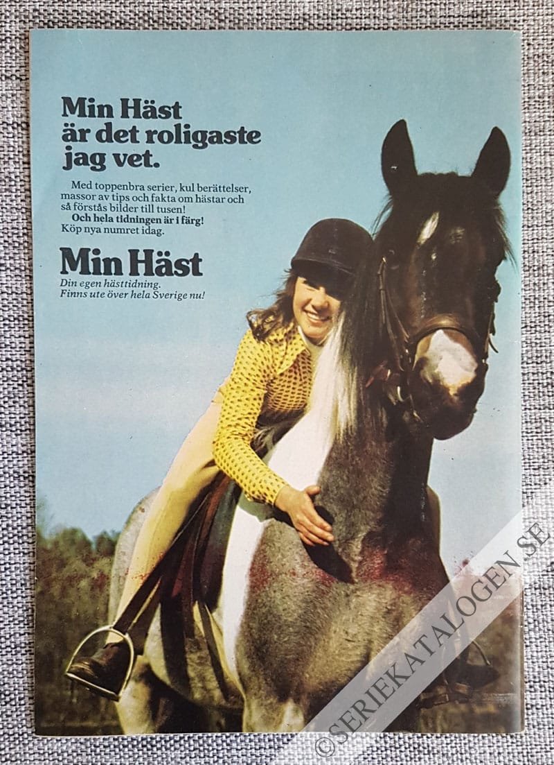 Baksida (1973)