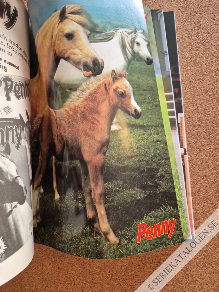 Bild (1991)