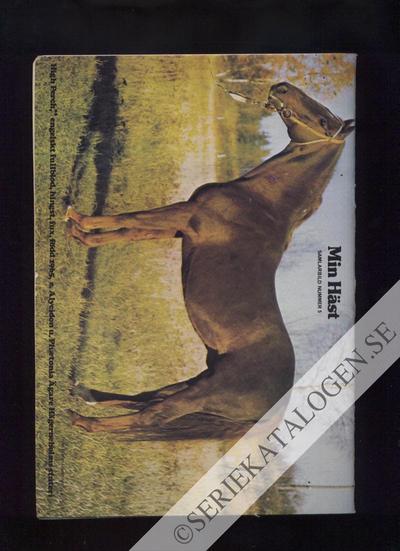 Baksida (1974)