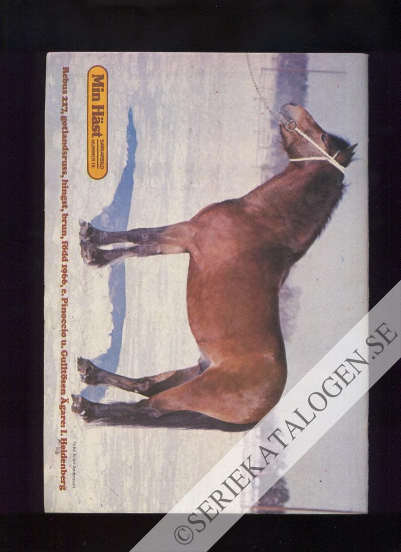 Baksida (1974)