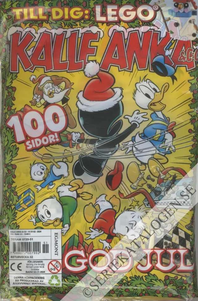 Bild (2024)