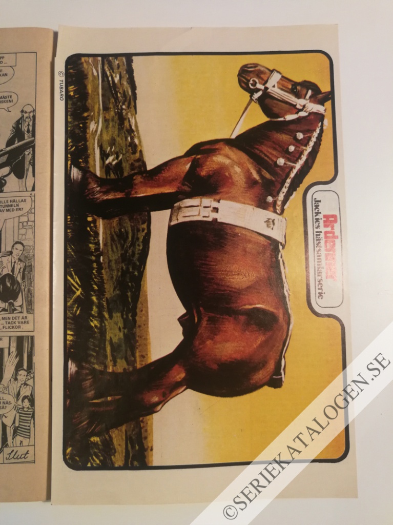 Bild (1973)