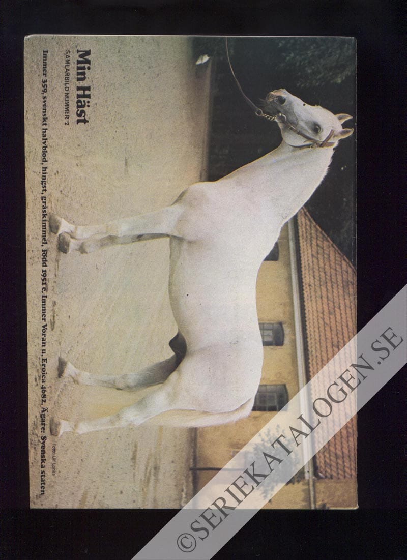 Baksida (1974)