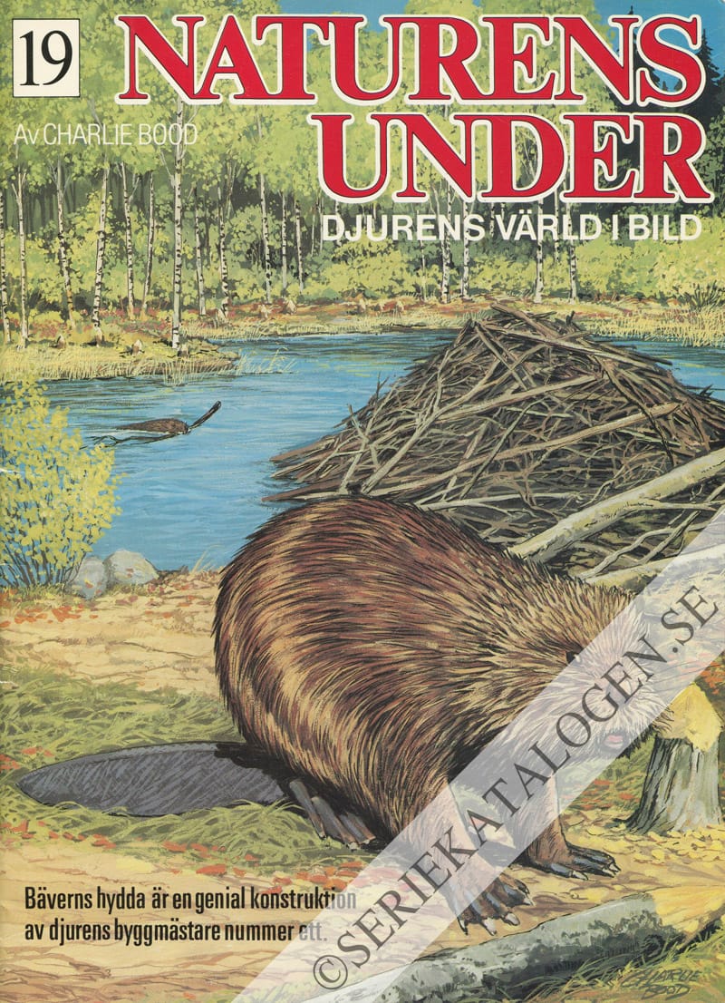 Framsida på Naturens under #19 (1984)