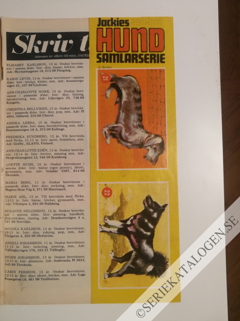Bild (1971)