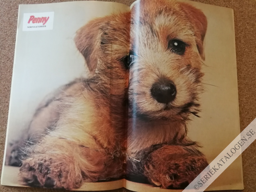 Bild (1986)