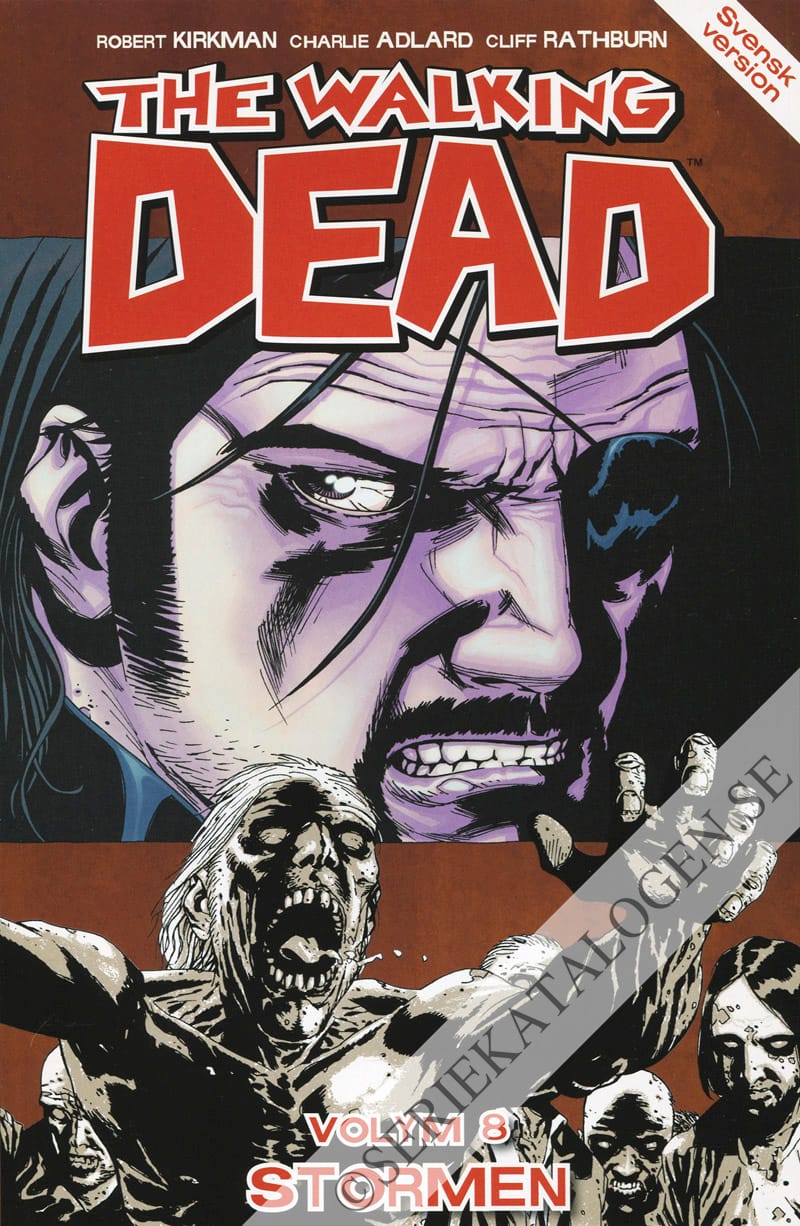 Framsida på The walking dead Stormen (2013)