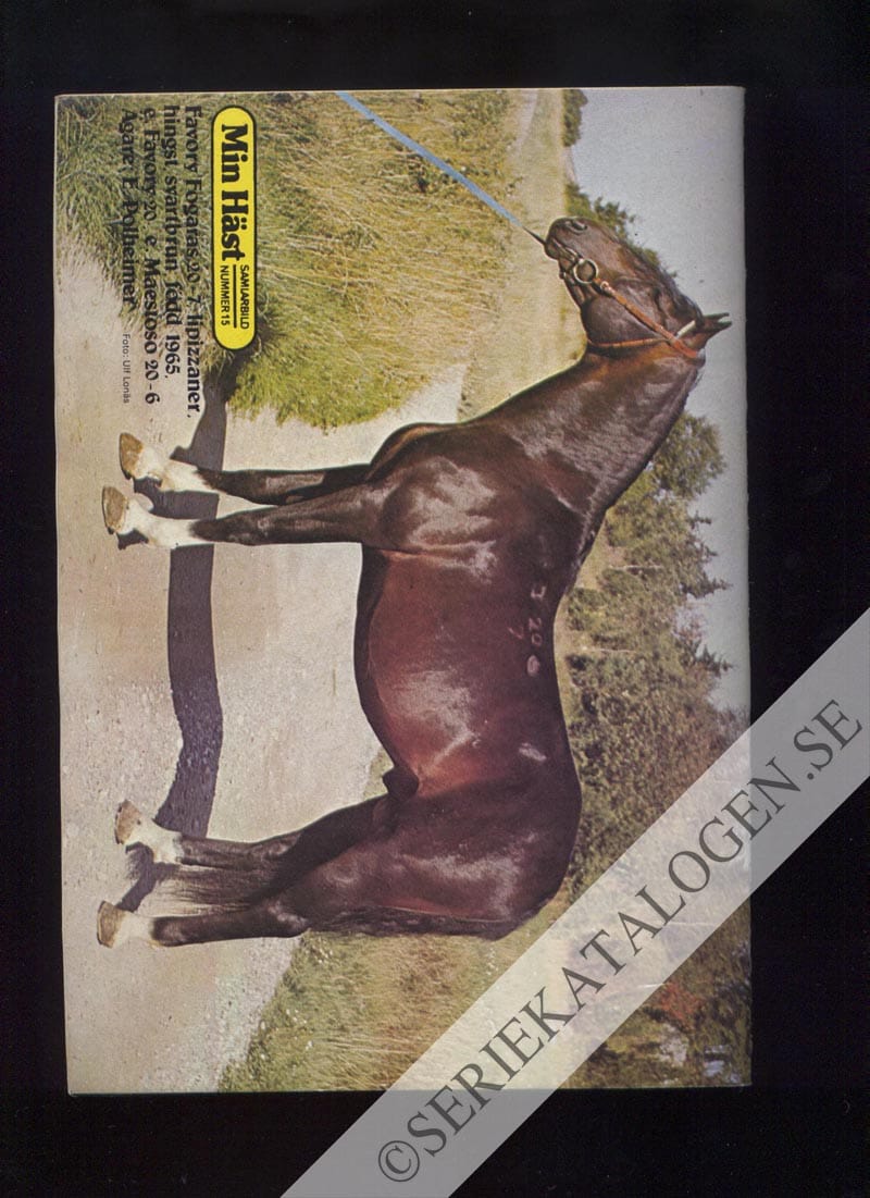 Baksida (1974)