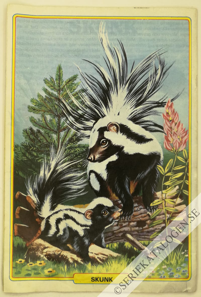 Baksida (1981)