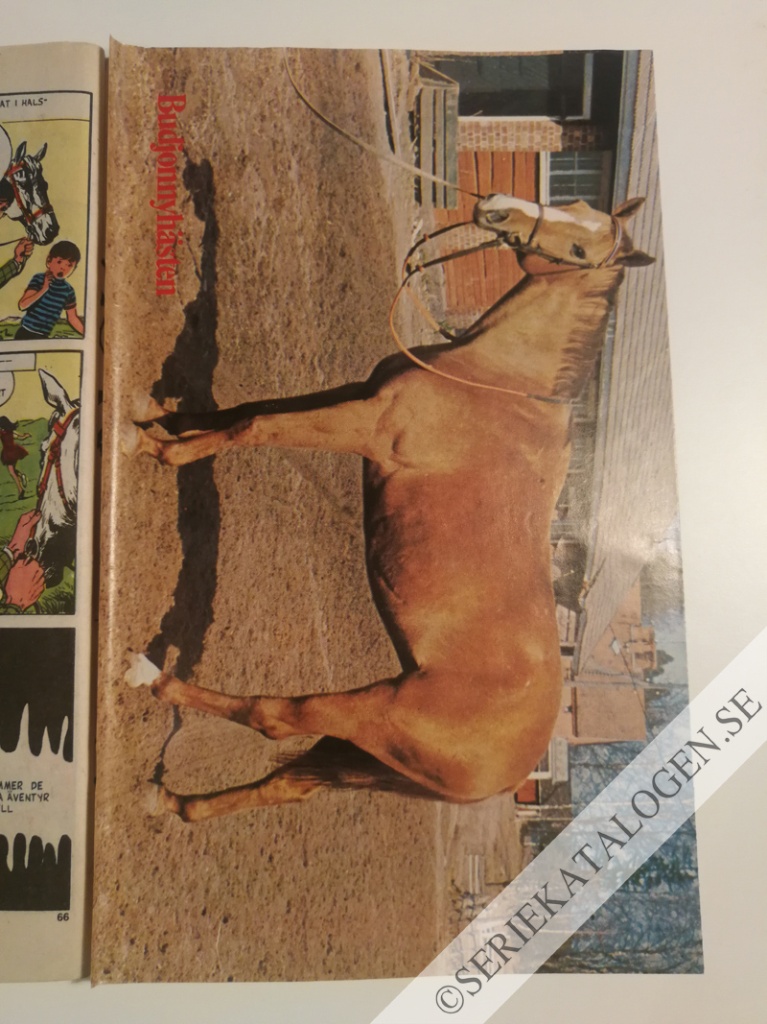 Bild (1974)