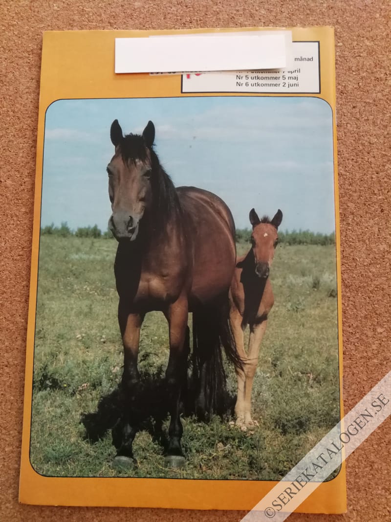 Baksida (1988)