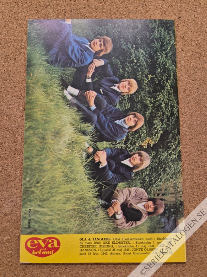 Baksida (1966)