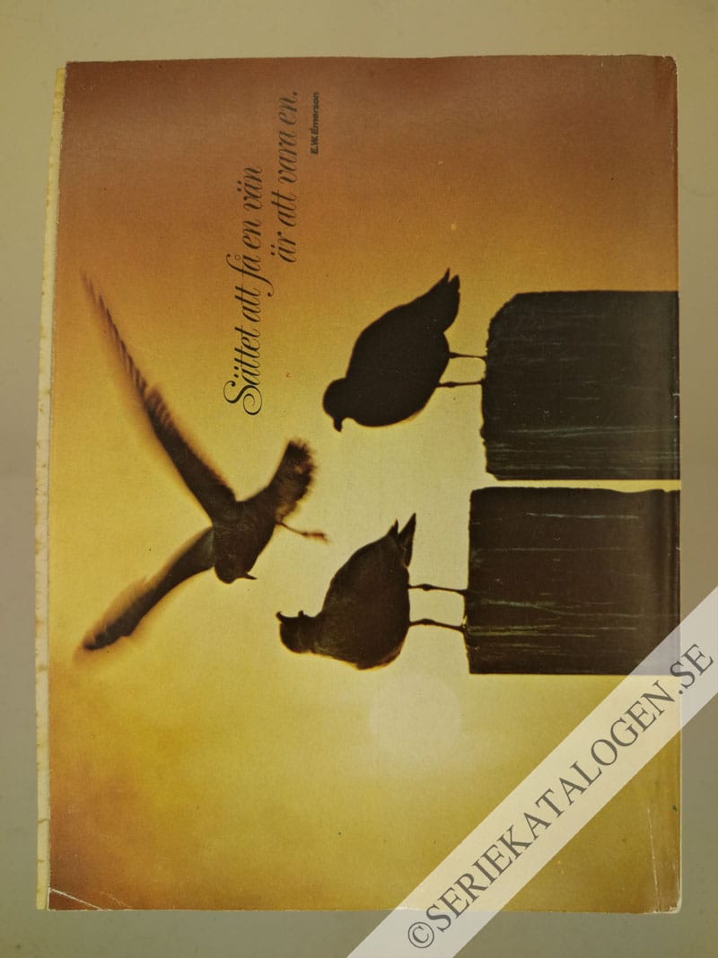 Baksida (1981)