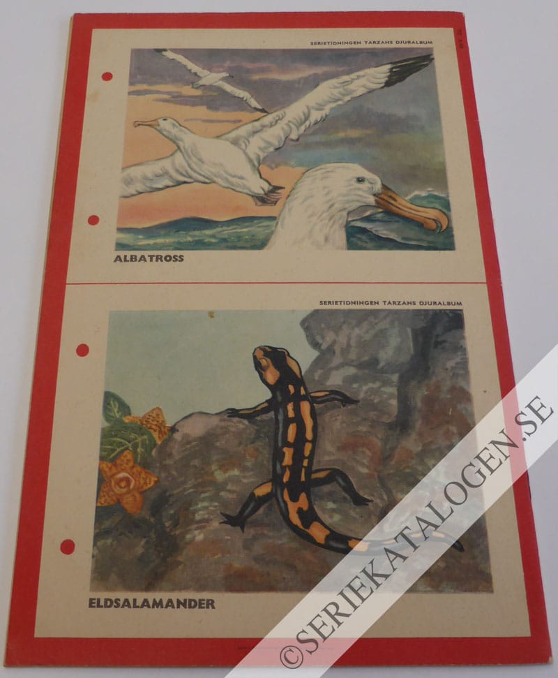 Baksida (1953)