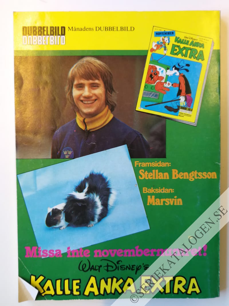 Baksida (1979)