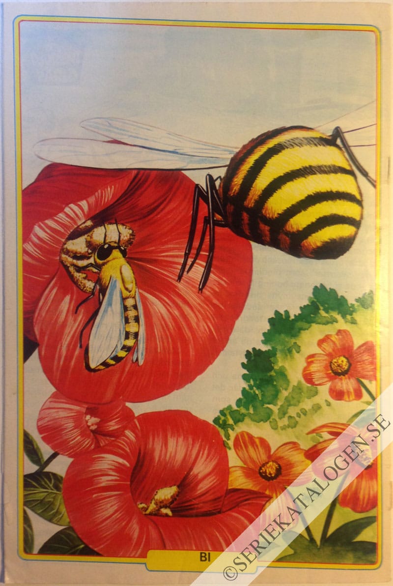 Baksida (1983)