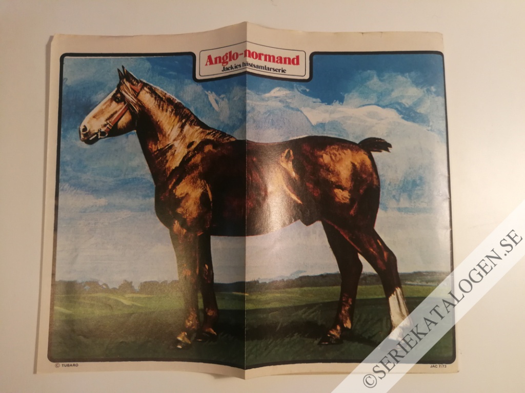 Bild (1973)
