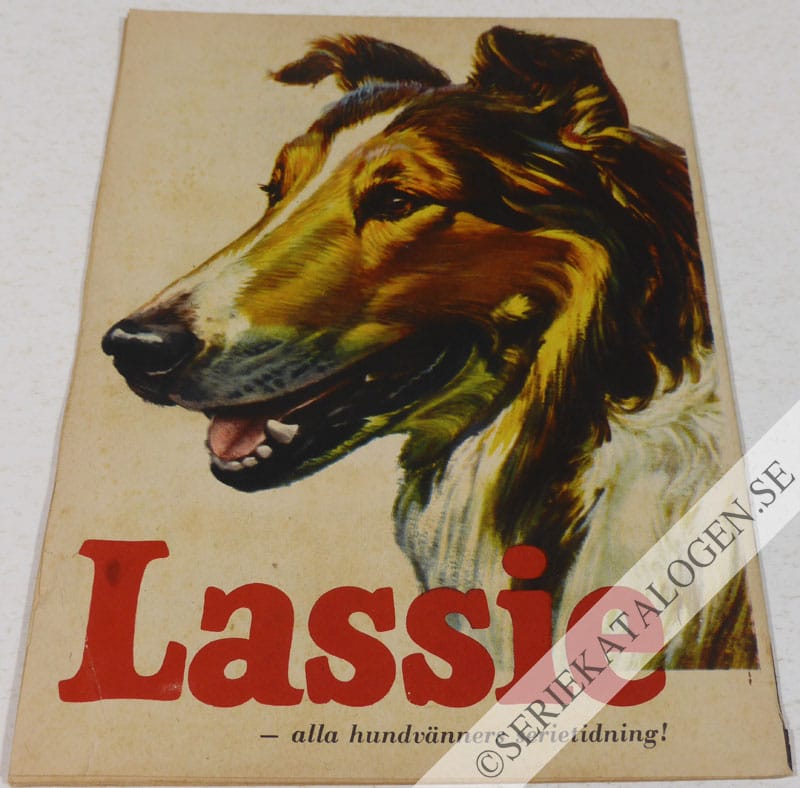Baksida (1960)