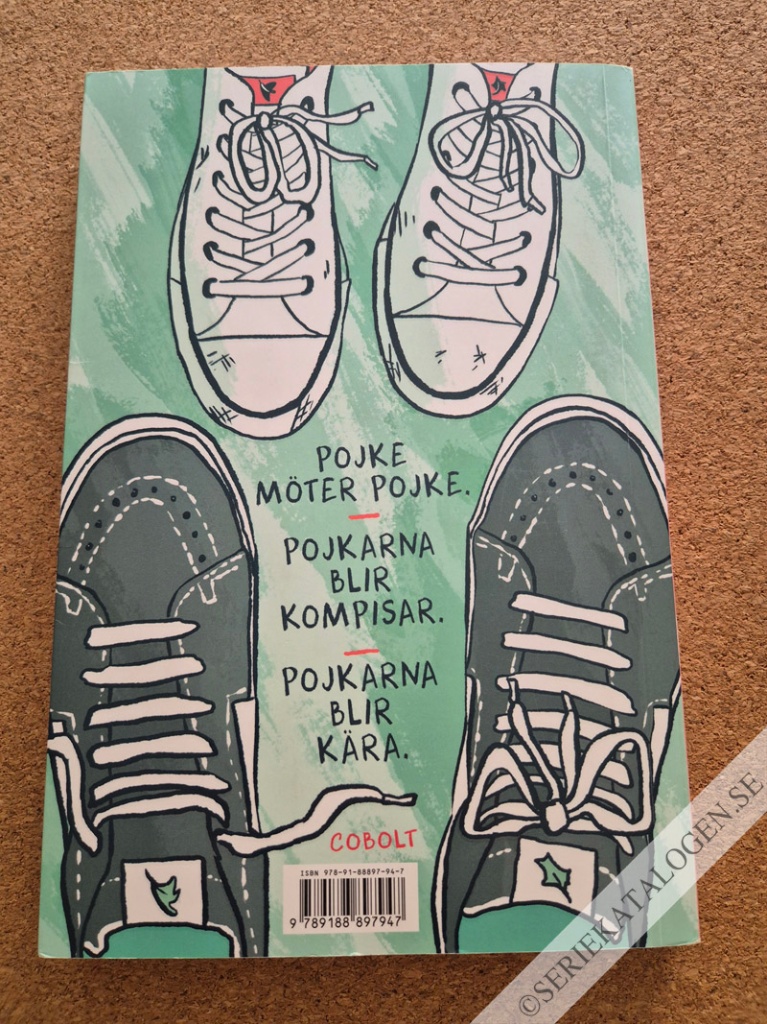 Baksida på Pojke möter pojke. (2024)
