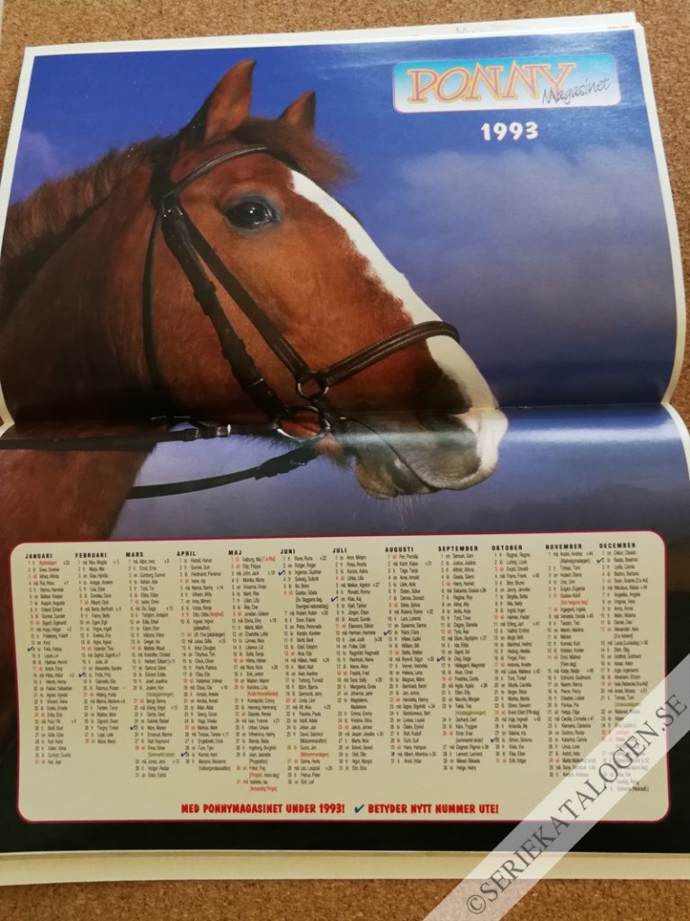 Bild (1993)