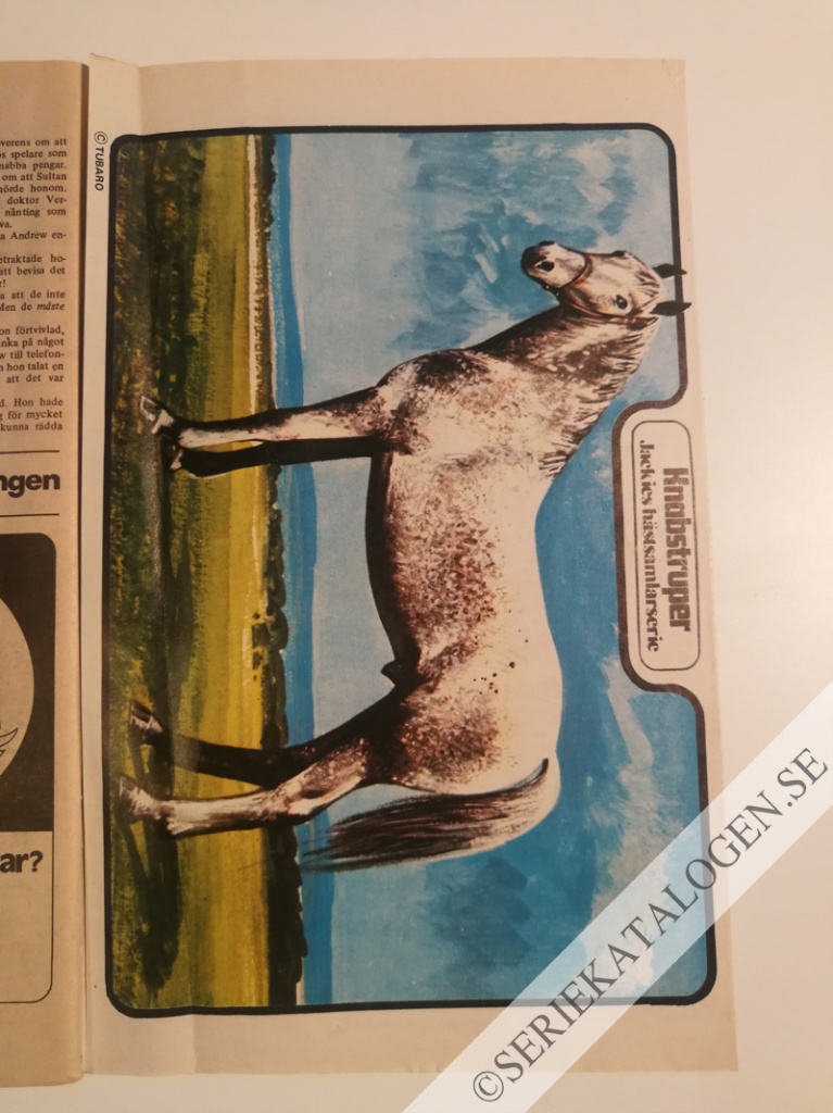 Bild (1973)