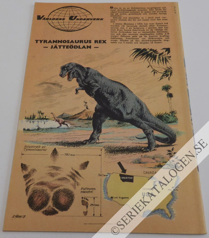 Baksida (1958)