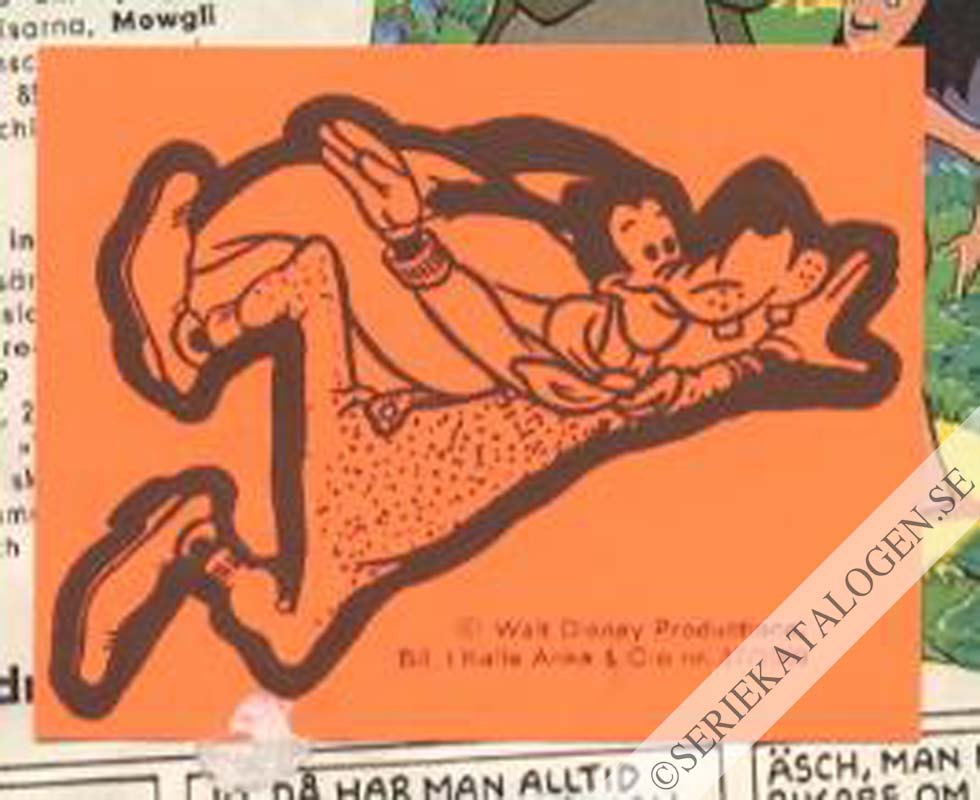 Bild (1969)