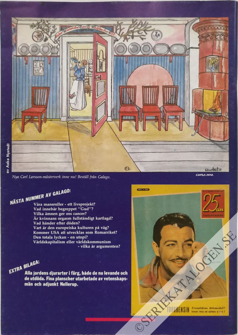Baksida (1986)
