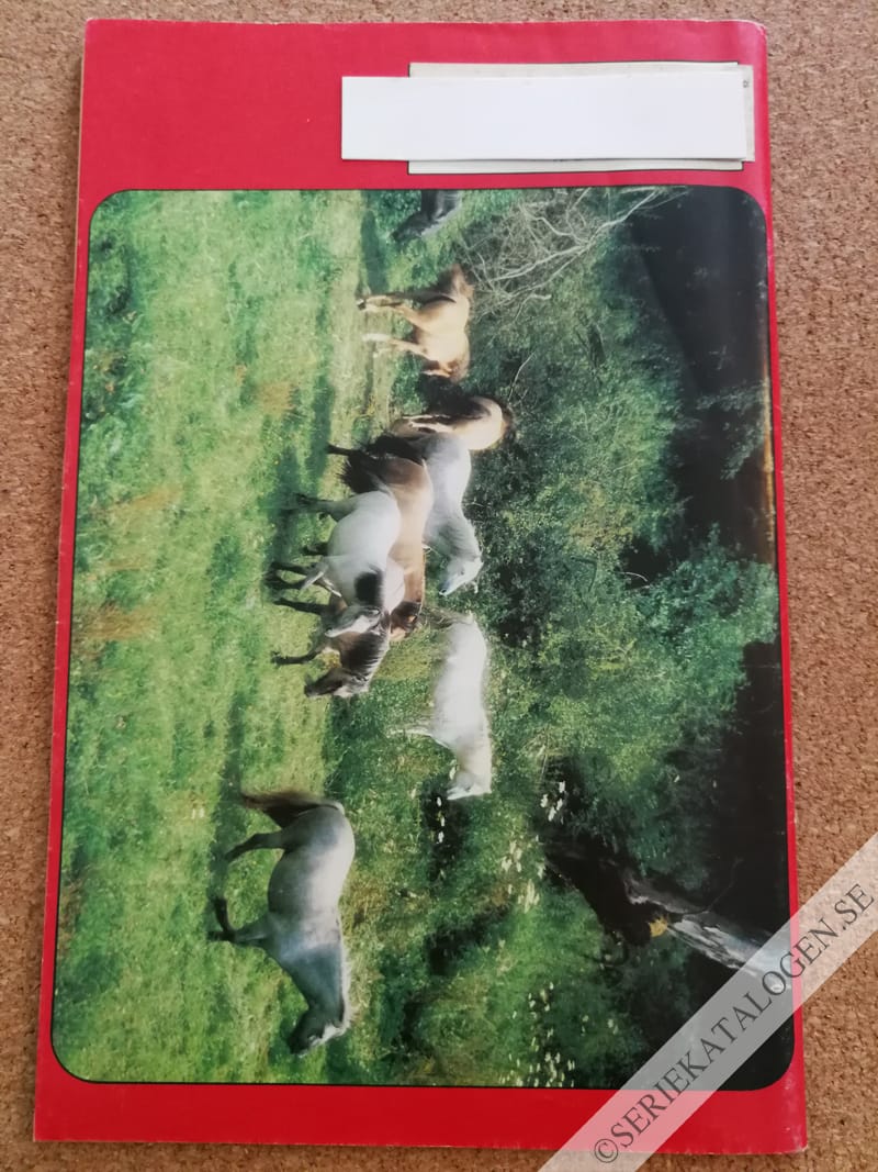 Baksida (1988)