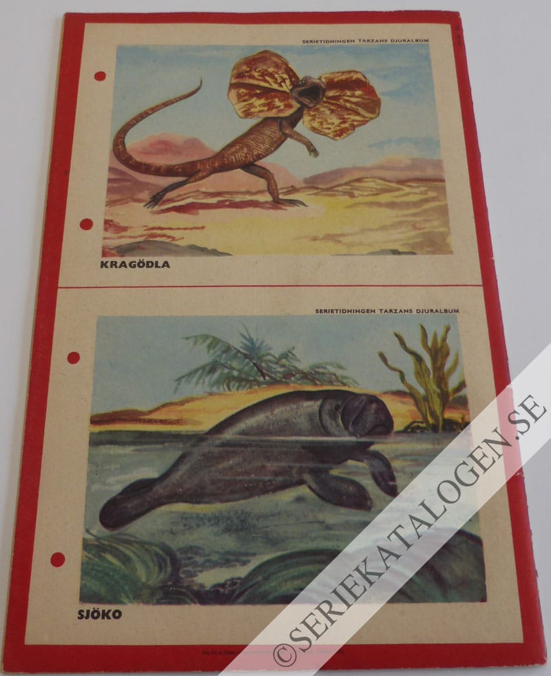 Baksida (1953)