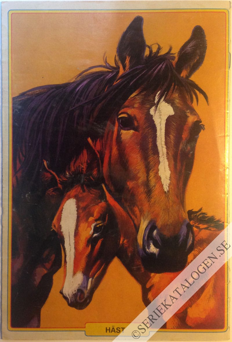 Baksida (1981)