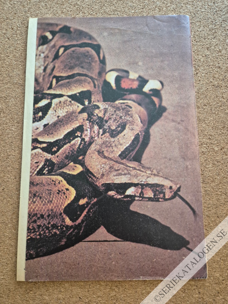 Baksida (1974)