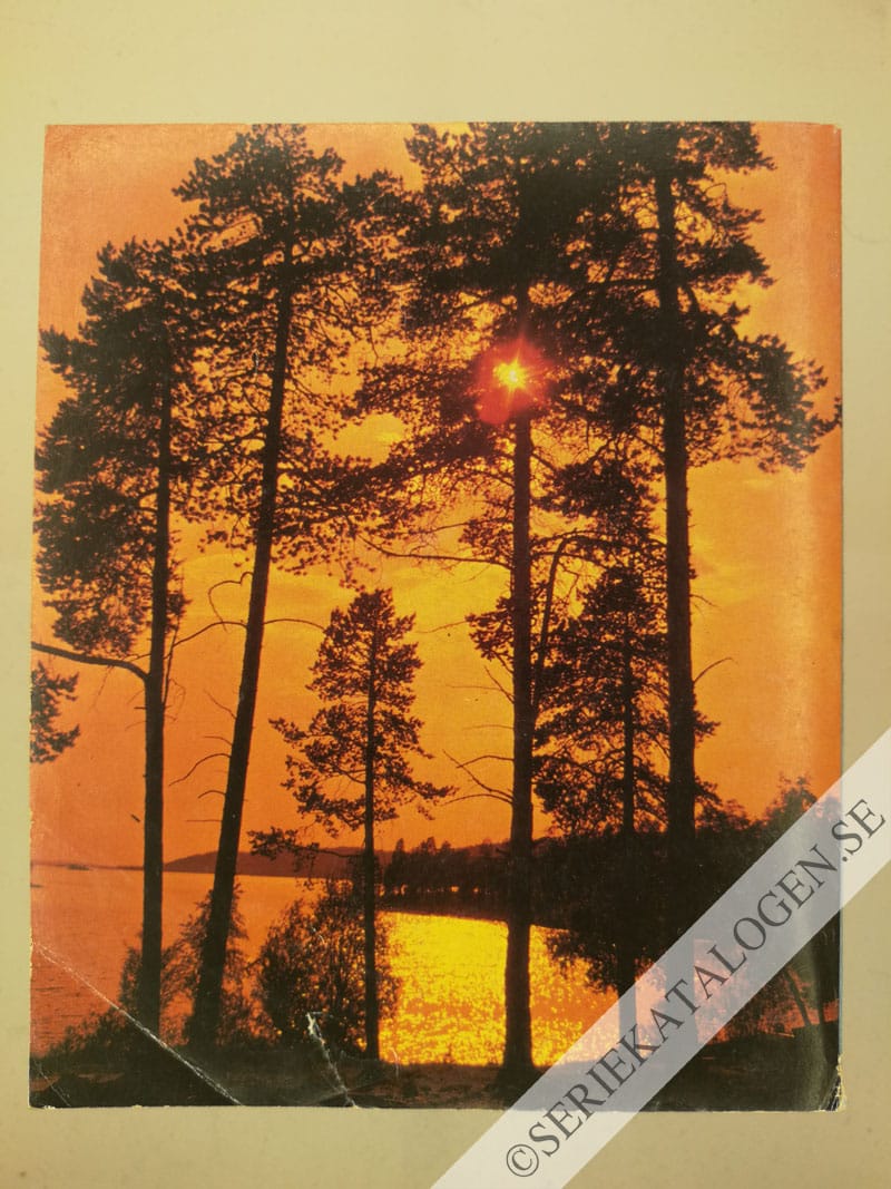 Baksida (1981)