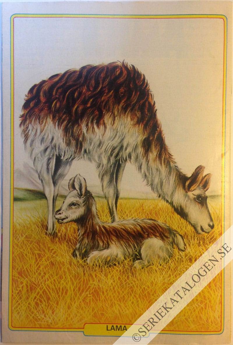 Baksida (1982)