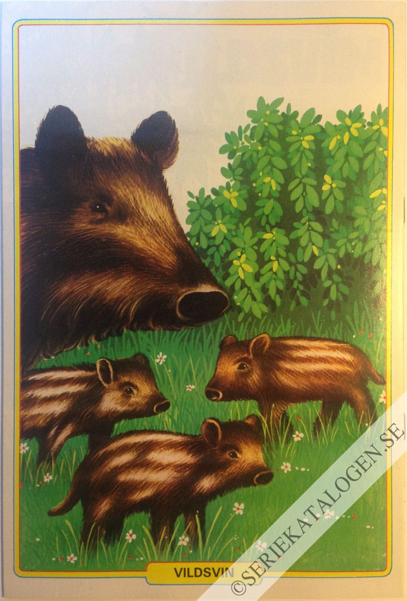Baksida (1981)