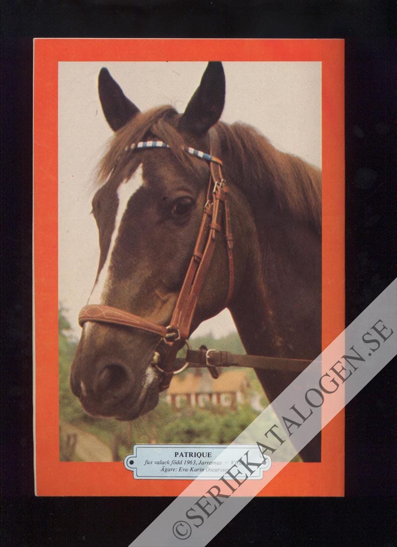 Baksida (1972)
