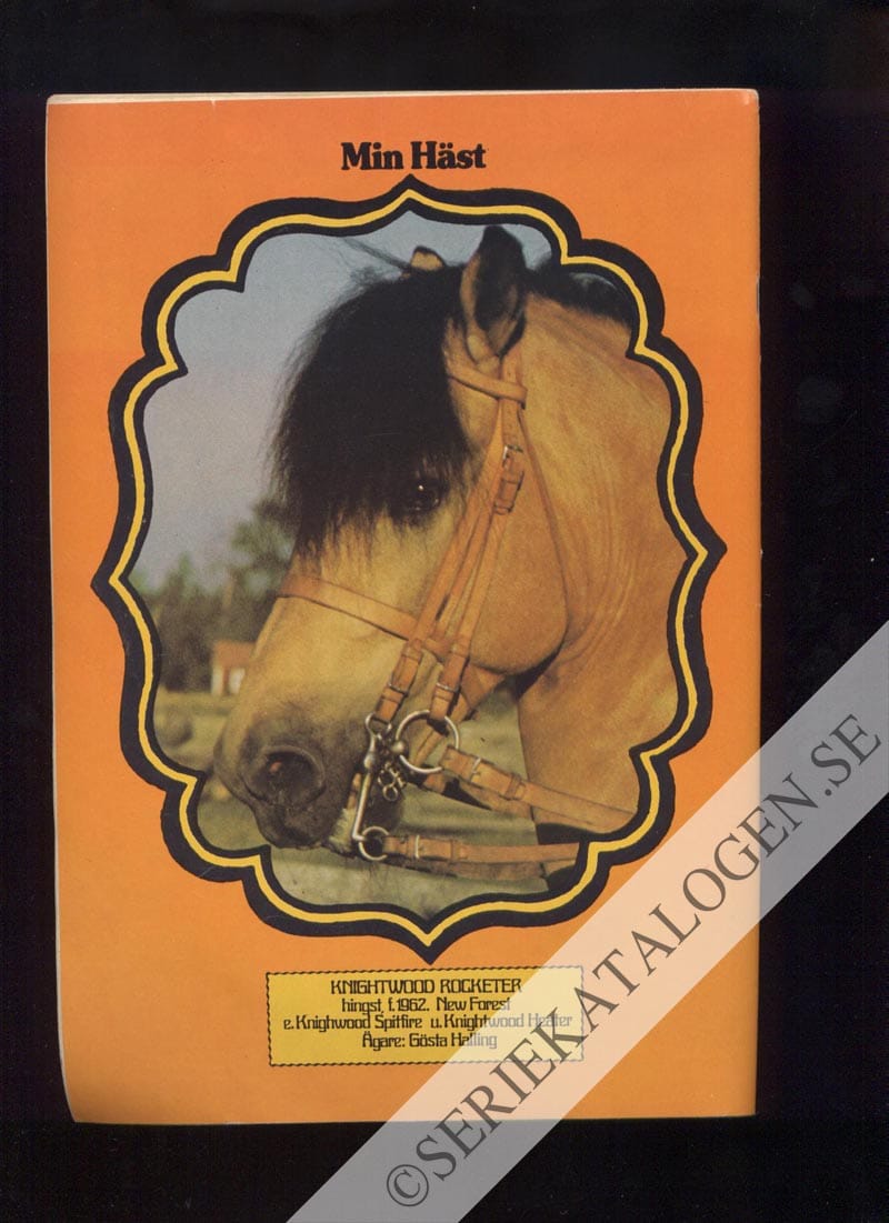 Baksida (1973)