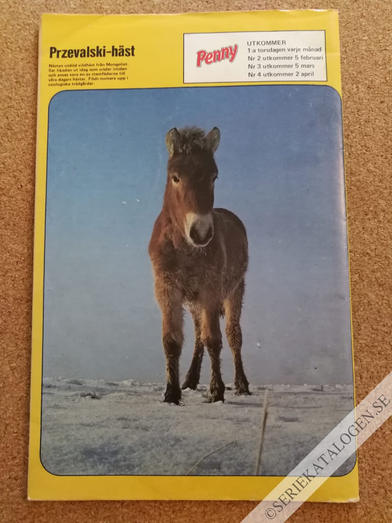 Baksida (1987)