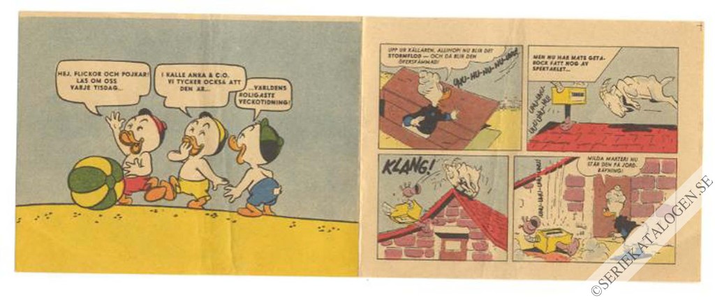 Bild (1960)