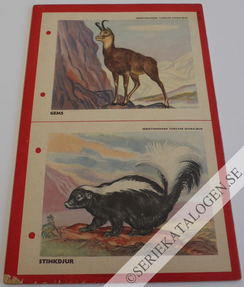 Baksida (1953)