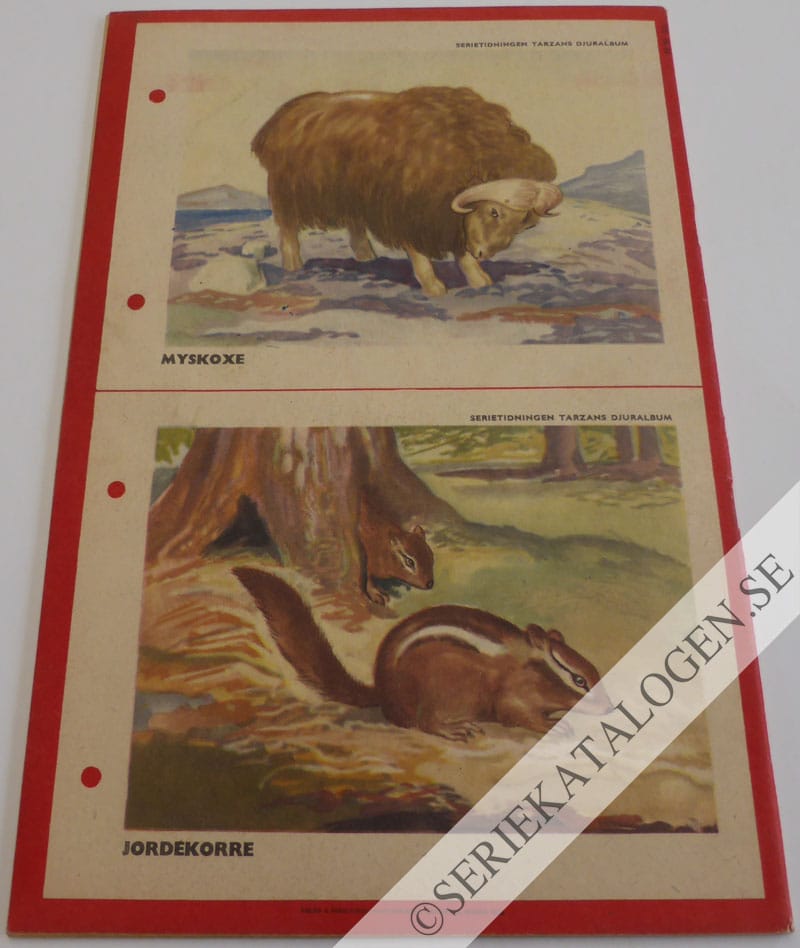Baksida (1953)