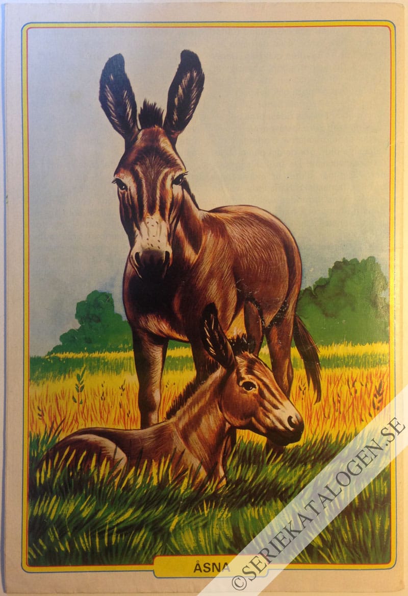 Baksida (1982)